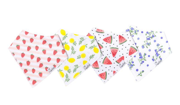 Bandana Bib Set