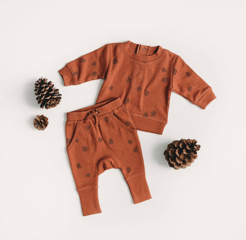 Fall Sweatshirt & Jogger Set