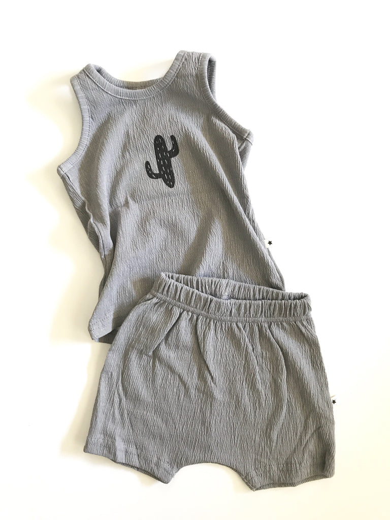 Gray Cactus Set
